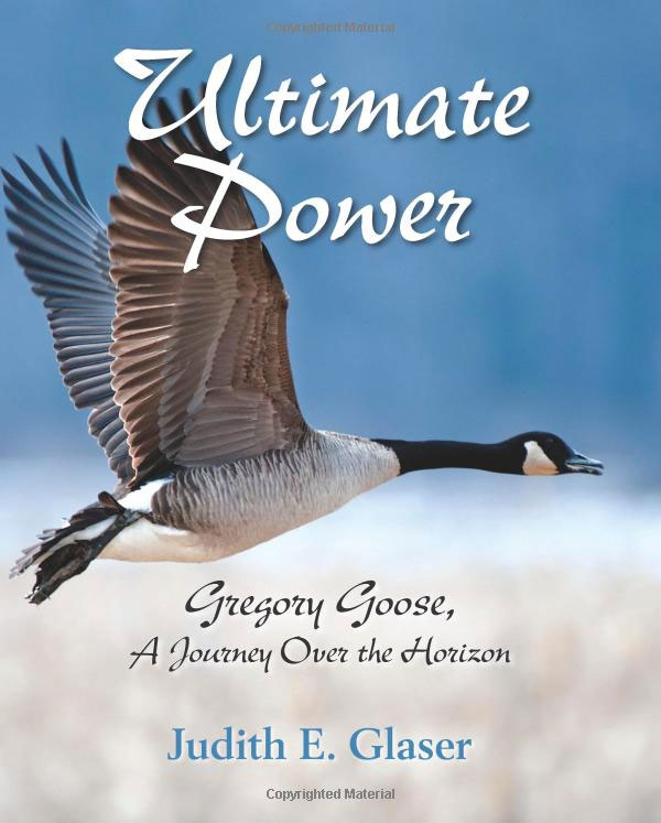 Ultimate Power