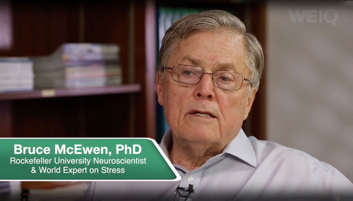 Bruce McEwen Interview